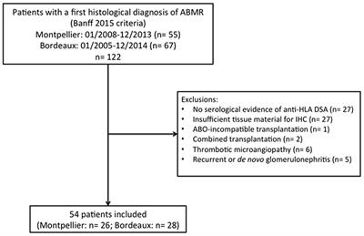 C5b9 Deposition in Glomerular Capillaries Is Associated With Poor Kidney Allograft Survival in Antibody-Mediated Rejection